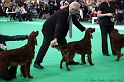 Crufts2011 309